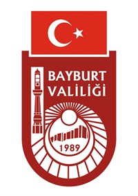 Yaşar DEMİR